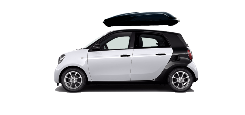 Smart forfour hotsell roof rack